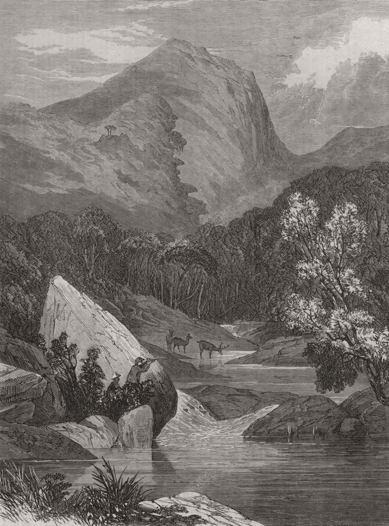 BRAZIL. In the forests of Brazil. waiting for a shot 1864 old antique print